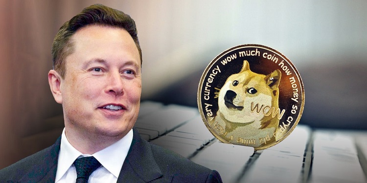 Elon Musk has been a backer of meme currency Dogecoin