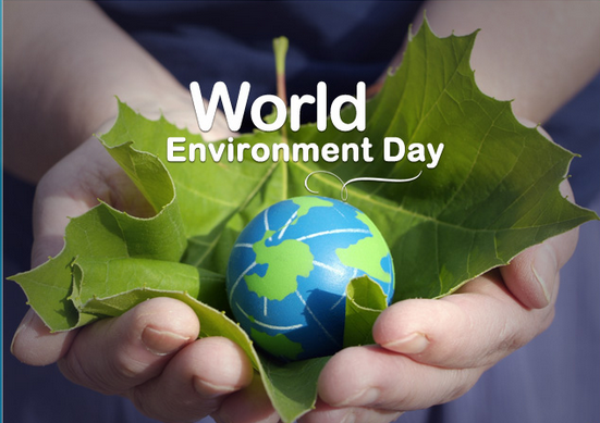 World Environmental Day; 10 Top and Upcoming Green Tech Companies in Nigeria