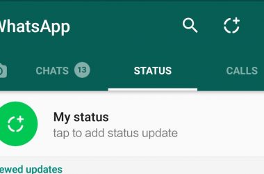 Whatsapp Stories status
