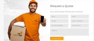 Another E-commerce Logistics Company, Delivery Man, Launched in Lagos 3