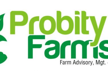 Probity Farms is the latest Startup Looking to tackle the Problems of Agriculture in Nigeria
