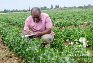 ReelFruit Gets Selected for Village Capital’s Agriculture Africa Accelerator