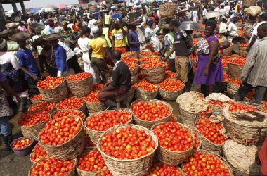 Tomatoes are displayed in baskets for sale at a local food market in Lagos