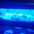 This Healthtech Startup is Making Solar-Powered Glowing Cribs to Treat Babies with Neonatal Jaundice