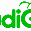 Kudigo expands into Nigeria and other markets with its retail-tech products