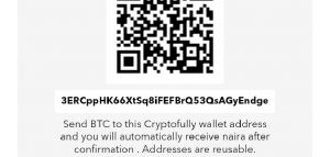 App Review: Cryptofully Eases Global Remittances Using Bitcoin, but Has No Wallet Feature Yet
