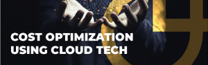 Cost optimisation using cloud technology