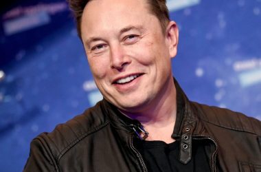 Elon Musk concern about Twitter bots