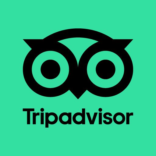 Is the Trip Advisor app a great travel guide?