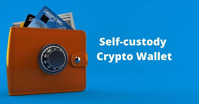 Self-custody wallets