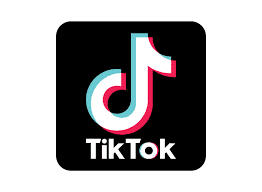 TikTok Logo
