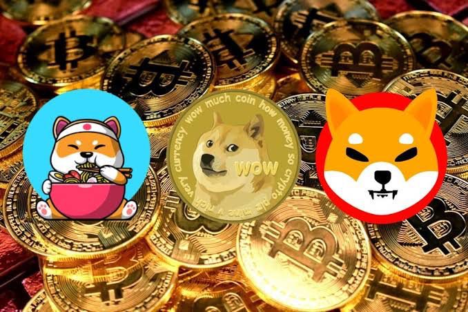 3 meme coins you should look out for 